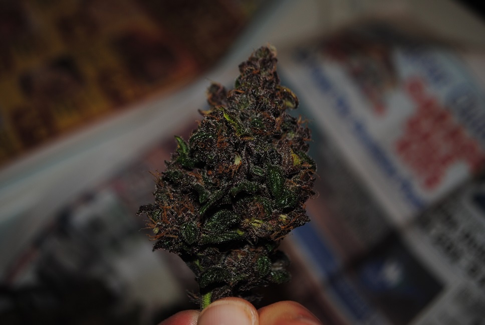 Review photo #1