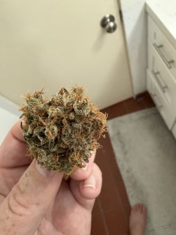 Review photo #3