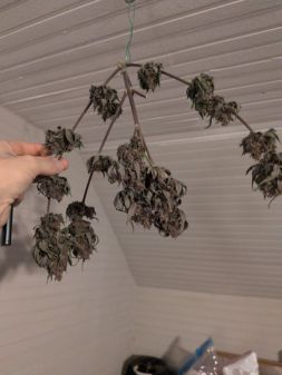 Review photo #3