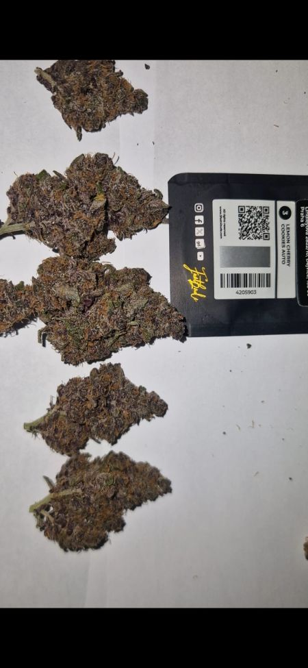 Review photo #3