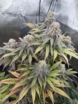Review photo #2