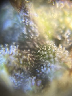 Review photo #2