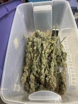 Review photo #4