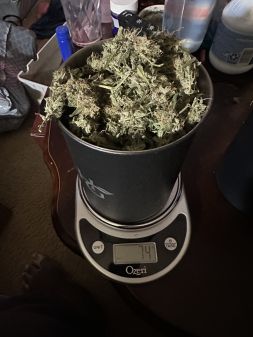 Review photo #3