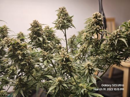 Review photo #3