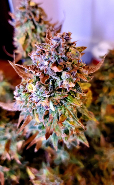 Review photo #2