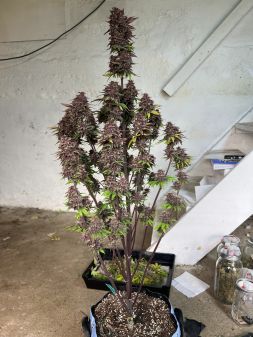 Review photo #3