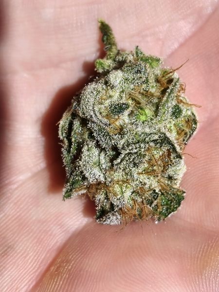 Review photo #3