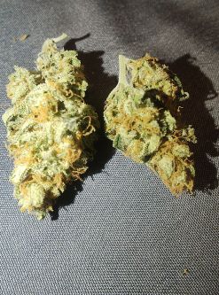 Review photo #1