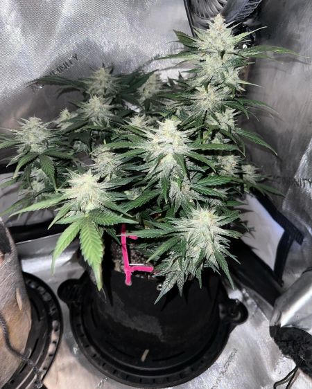Review photo #3