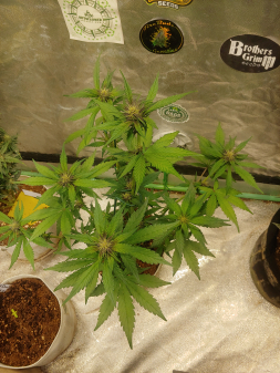 Review photo #2