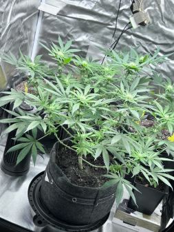 Review photo #3