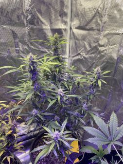 Review photo #2