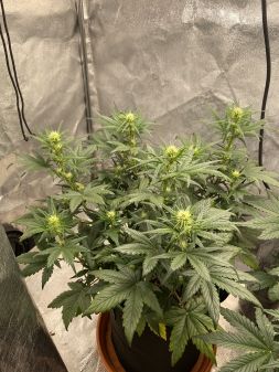 Review photo #4