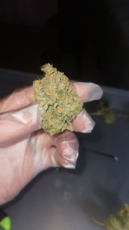 Review photo #1
