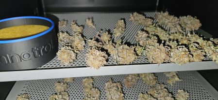 Review photo #8