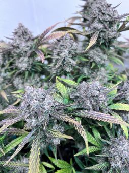 Review photo #5