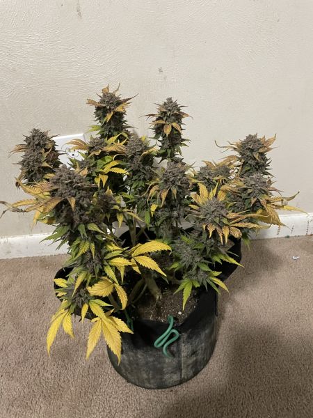 Review photo #3