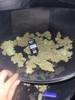 Review photo #4