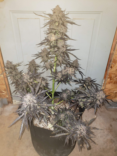 Review photo #5