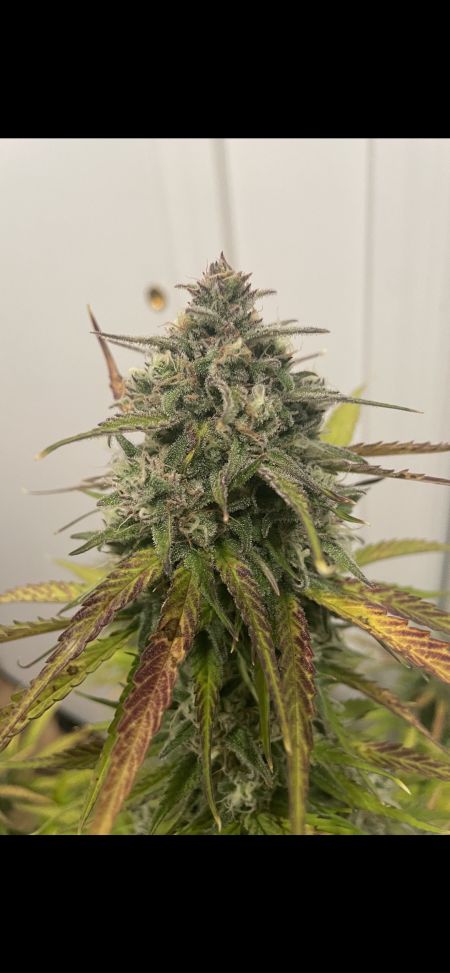 Review photo #2