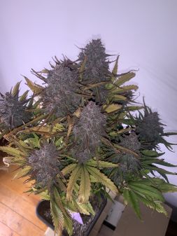 Review photo #1