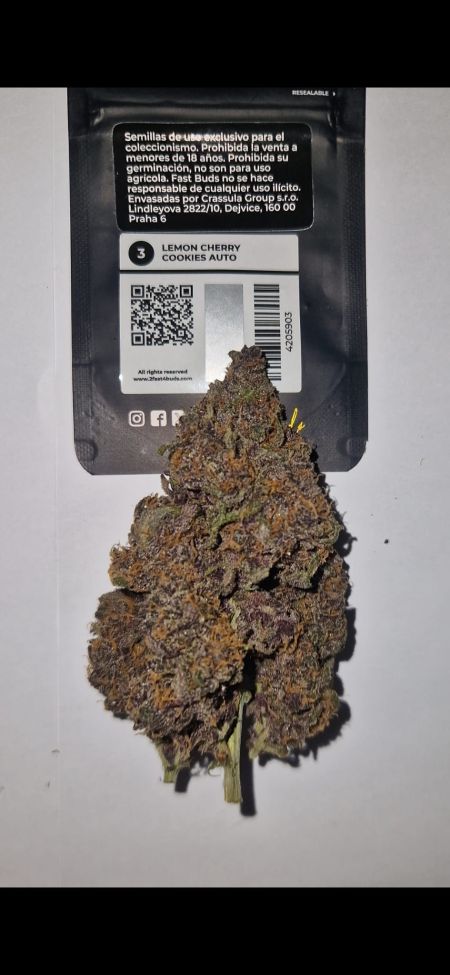 Review photo #15