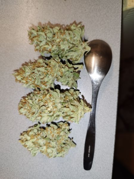 Review photo #3