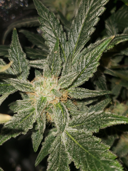 Review photo #3