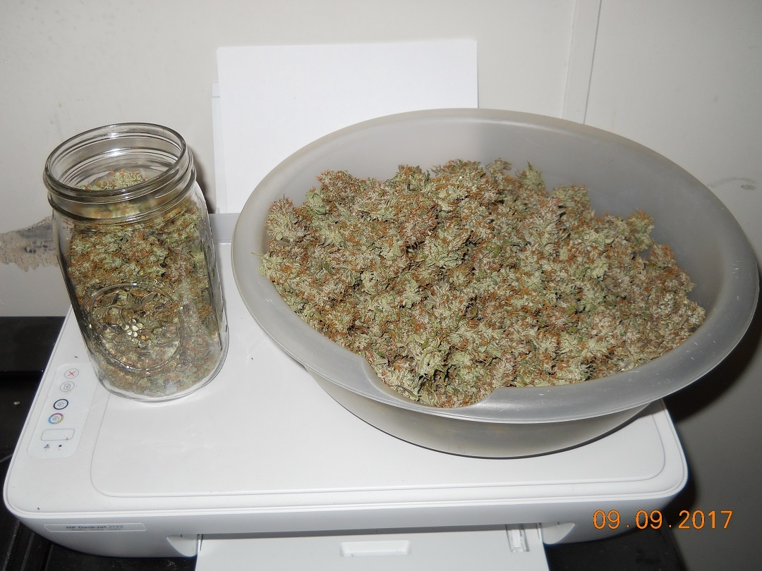Review photo #5