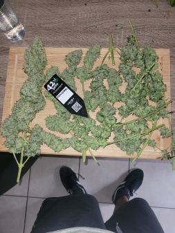 Review photo #3