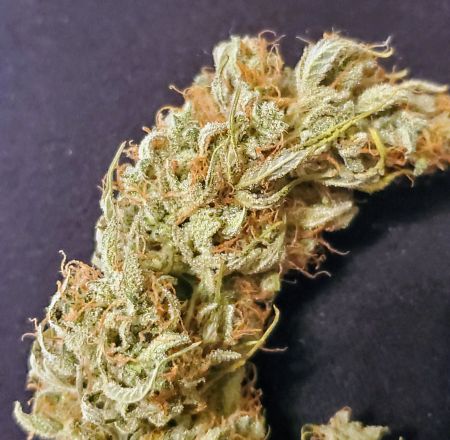 Review photo #1