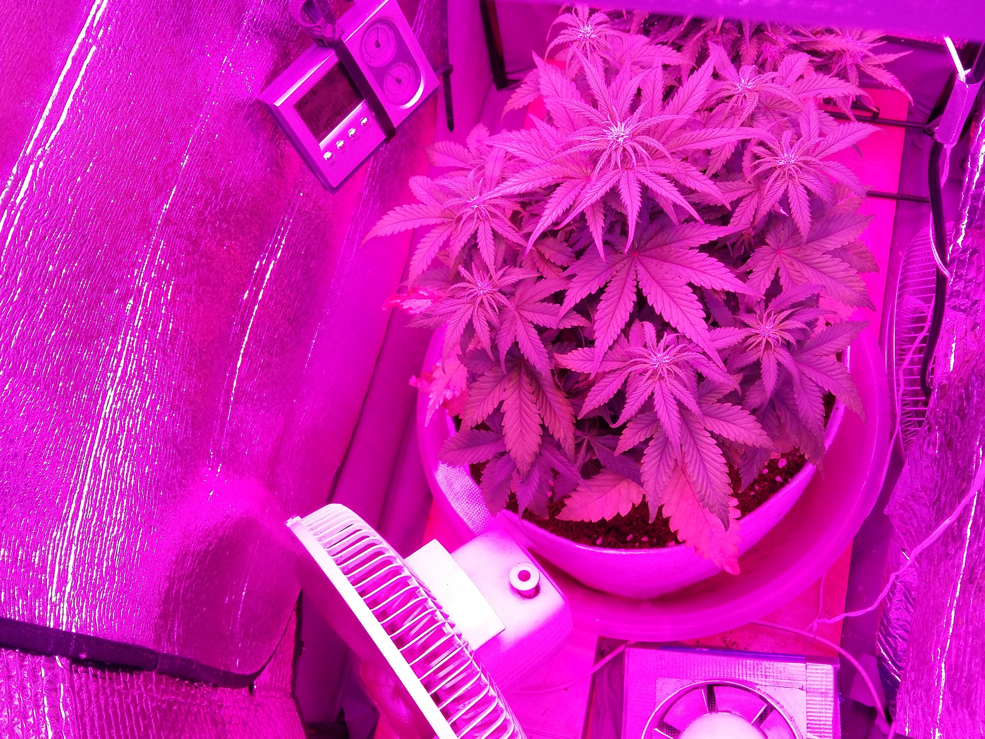 Review photo #1