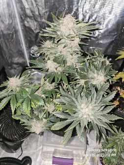 Review photo #2