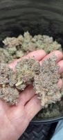 Review photo #2