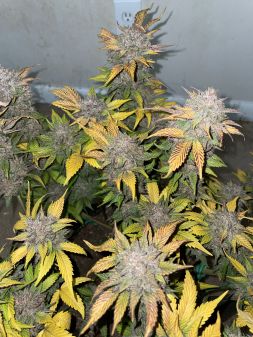 Review photo #4