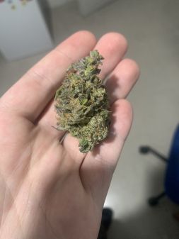 Review photo #8