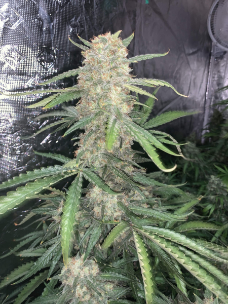 Review photo #6
