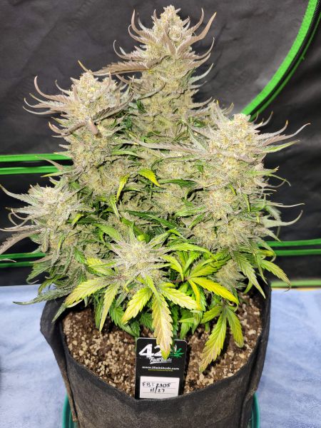 Review photo #5
