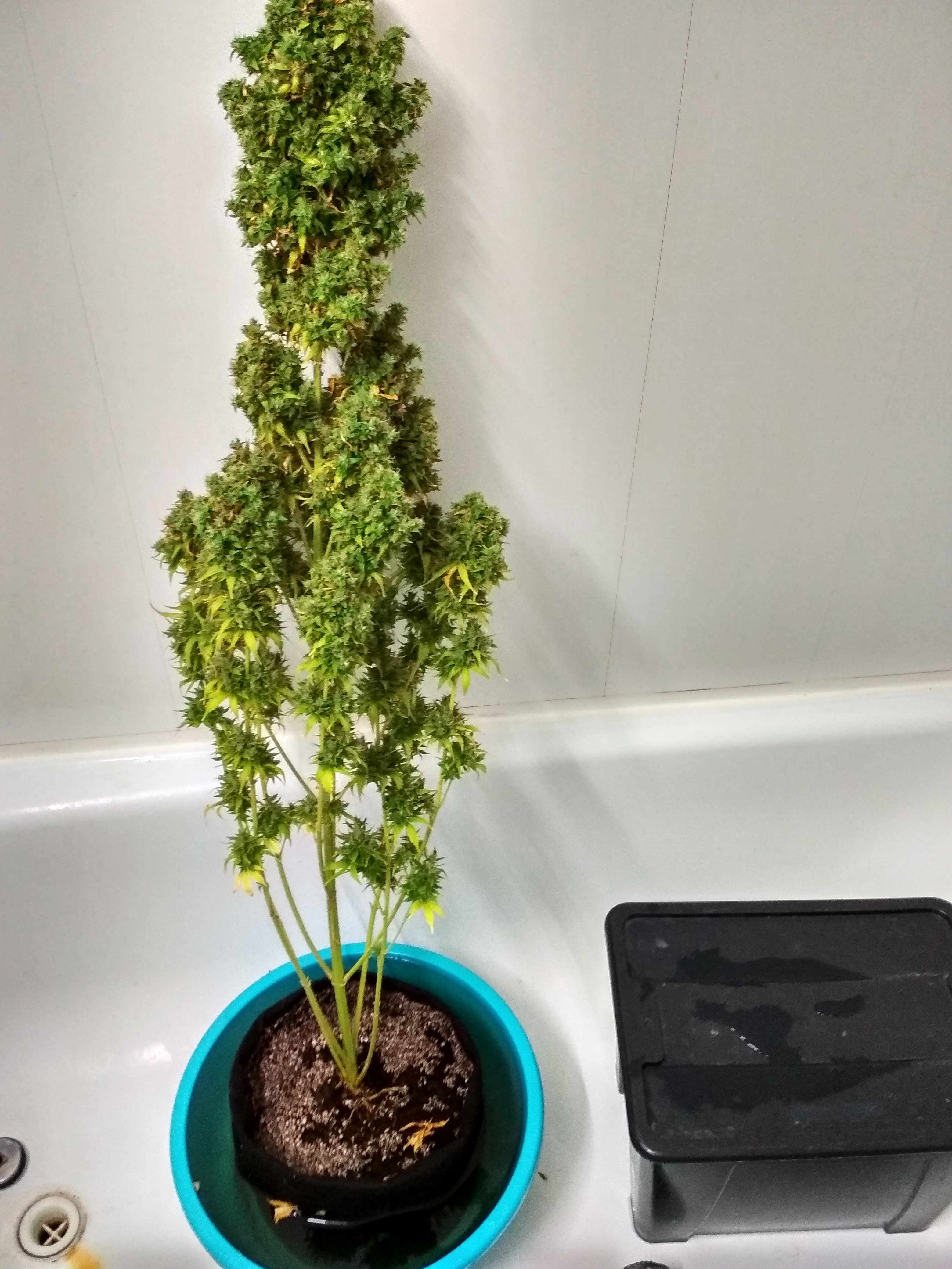 Review photo #3
