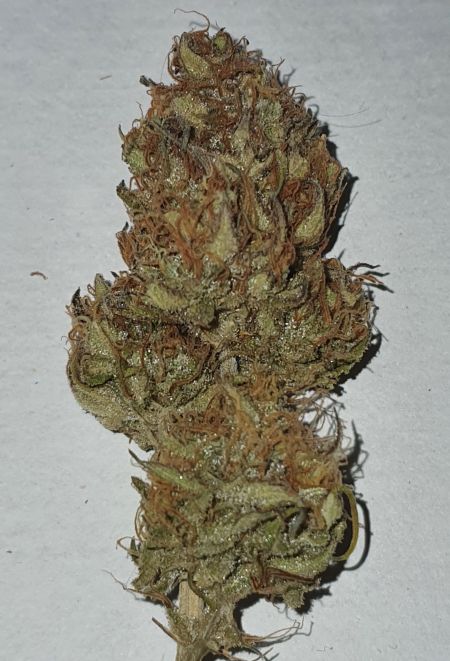 Review photo #2