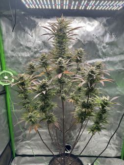 Review photo #3