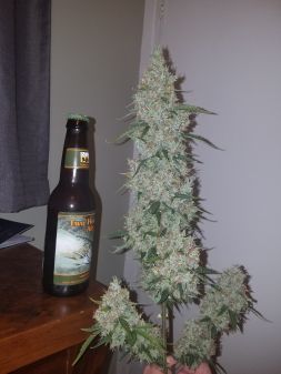 Review photo #2