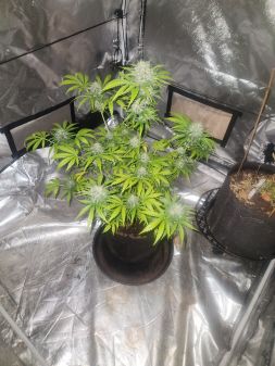 Review photo #4