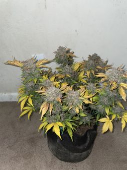 Review photo #6