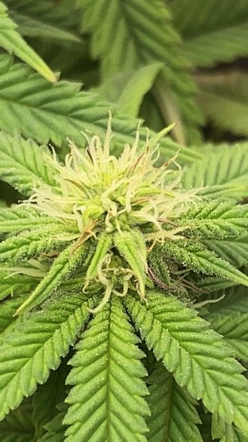 Review photo #2