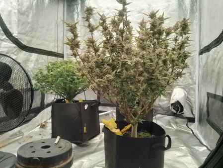 Review photo #2