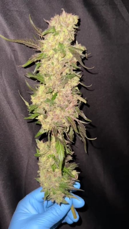 Review photo #4