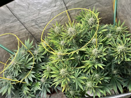 Review photo #5