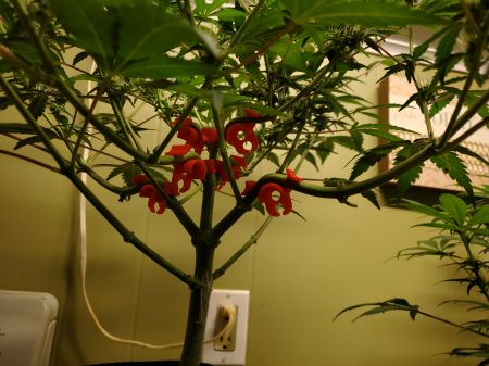 Review photo #3